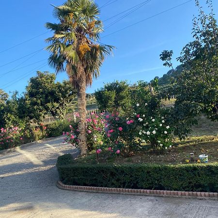 Hotel Dini Radhimë Εξωτερικό φωτογραφία