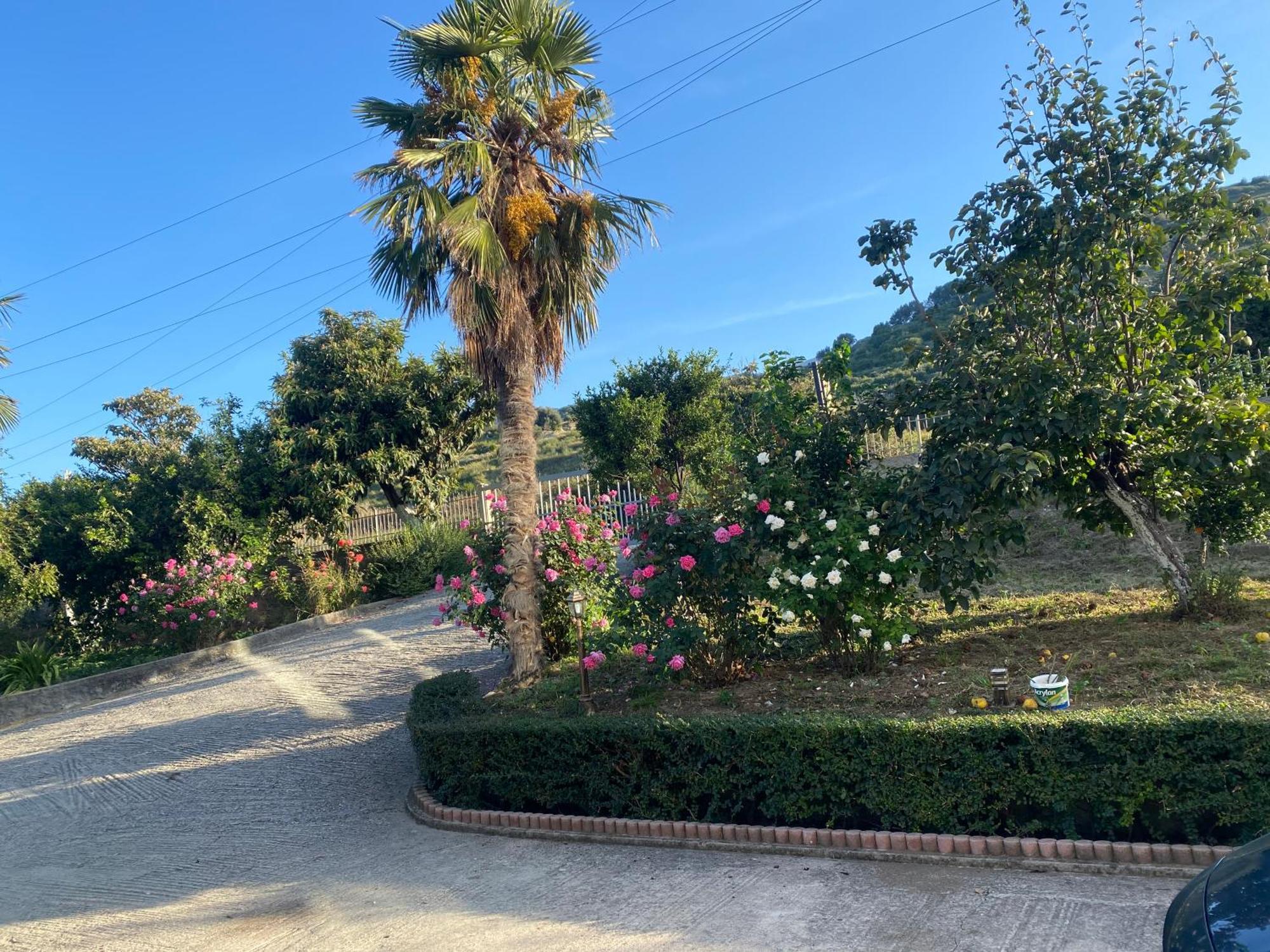 Hotel Dini Radhimë Εξωτερικό φωτογραφία